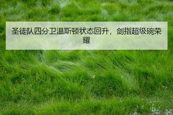 sheng-tu-dui-si-fen-wei-wen-si-dun-zhuang-tai-hui-sheng-jian-zhi-chao-ji-wan-rong-yao-2-807.jpg