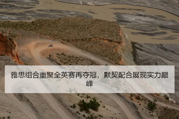 雅思组合重聚全英赛再夺冠，默契配合展现实力巅峰